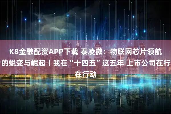 K8金融配资APP下载 泰凌微：物联网芯片领航者的蜕变与崛起丨我在“十四五”这五年 上市公司在行动